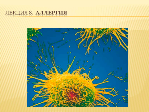 Аллергия (rus)