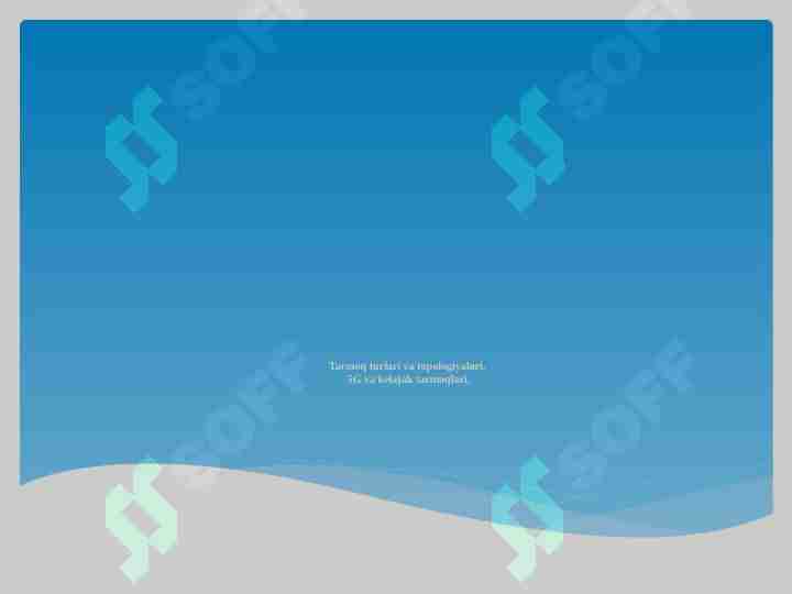 Tarmoq turlari va topologiyalari.5G va kelajak tarmoqlari