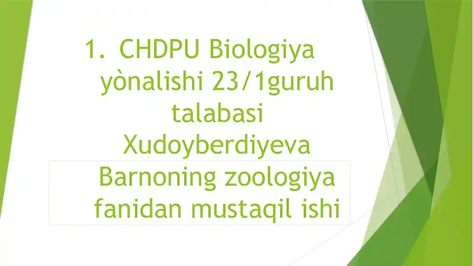 Chumolilar haqida malumot
