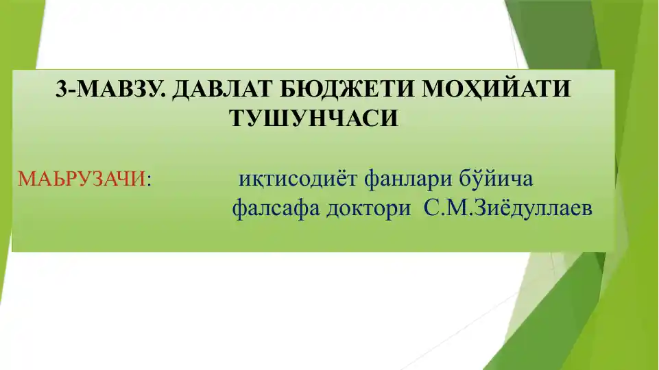 Davlat byujetining mohiyati tushunchasi