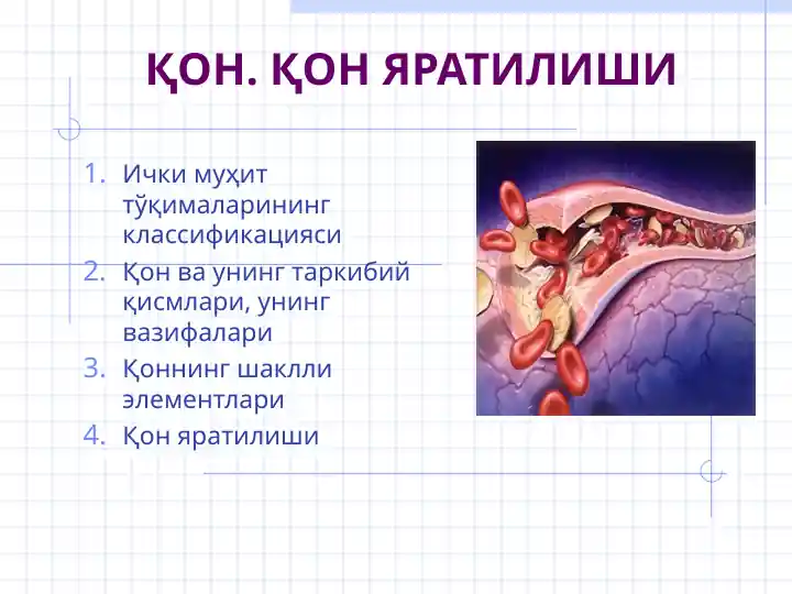 Қон. Қон Яратилиши