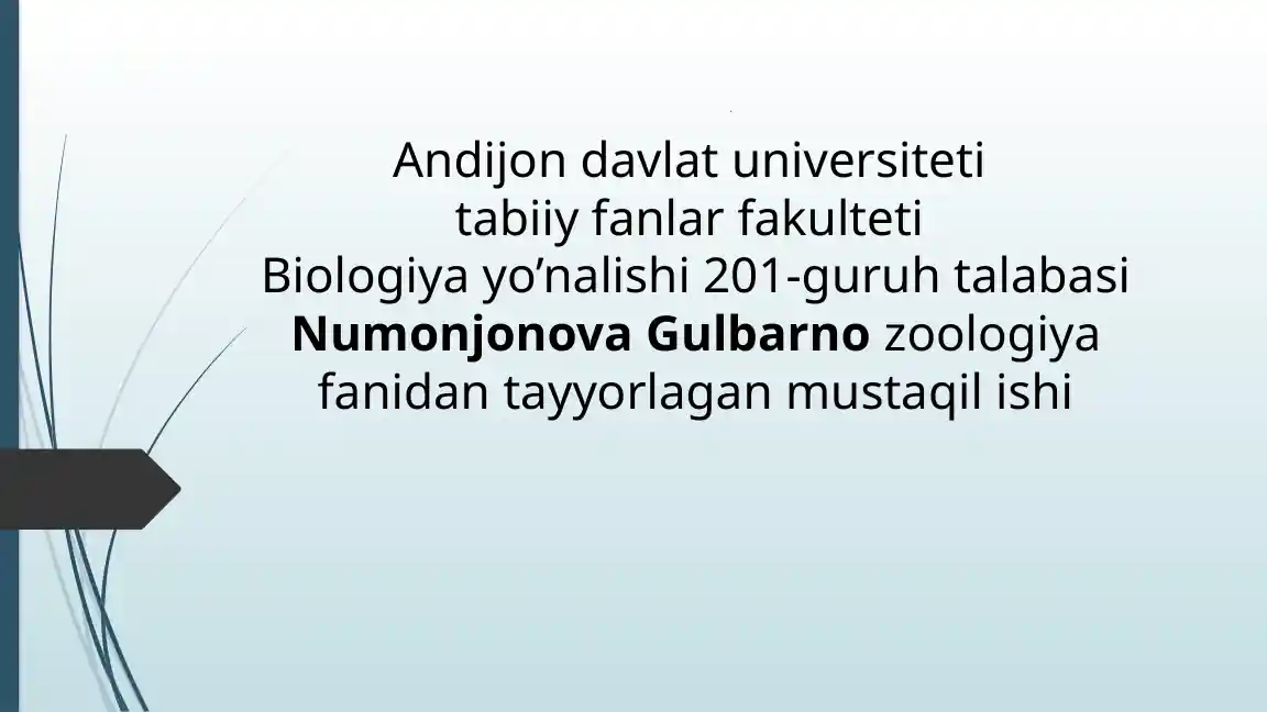 Amfibiyalar Eologiyasi