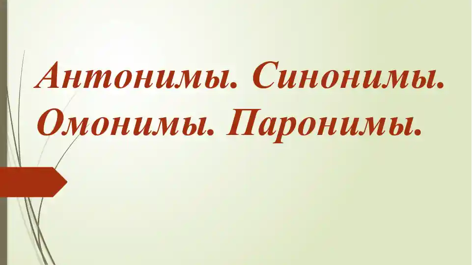 Антонимы. Синонимы. Омонимы. Паронимы