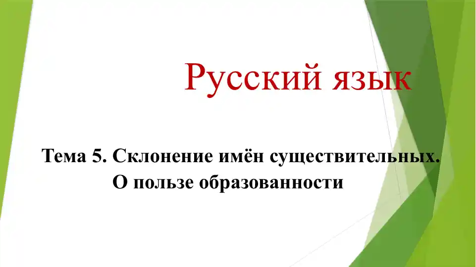 Склонение имён существительных