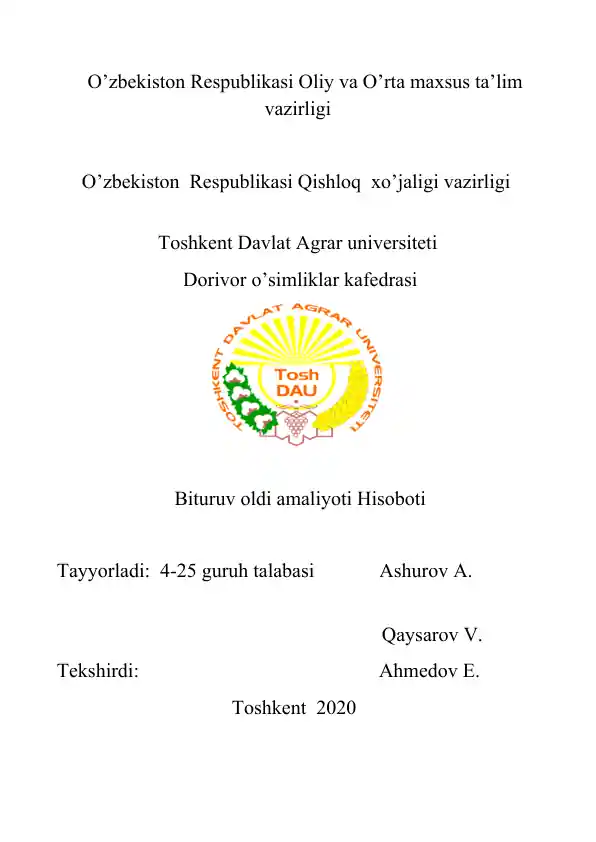 Bitiruv oldi amaliyoti hisobot