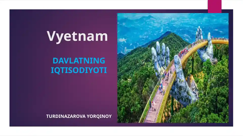 Vyetnam davlati