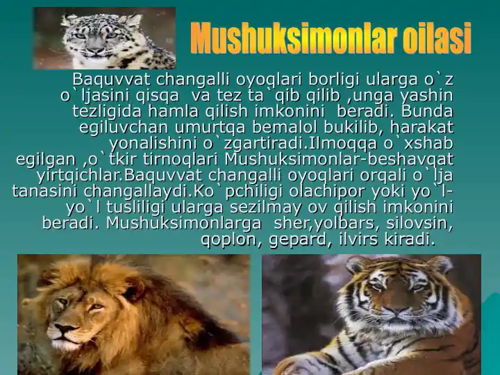 Mushuksimonlar