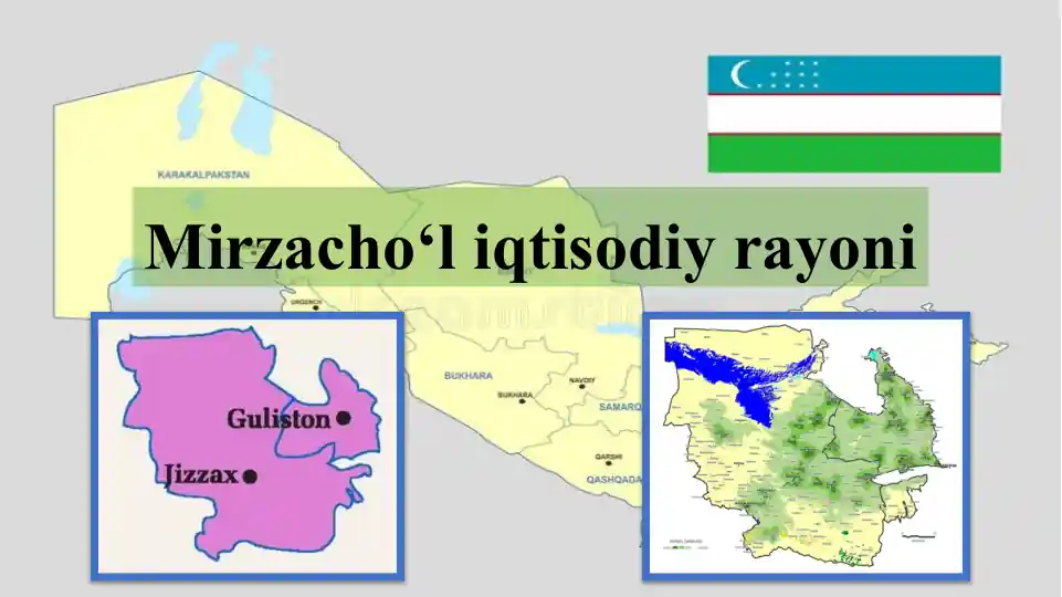 Mirzacho‘l iqtisodiy rayoni