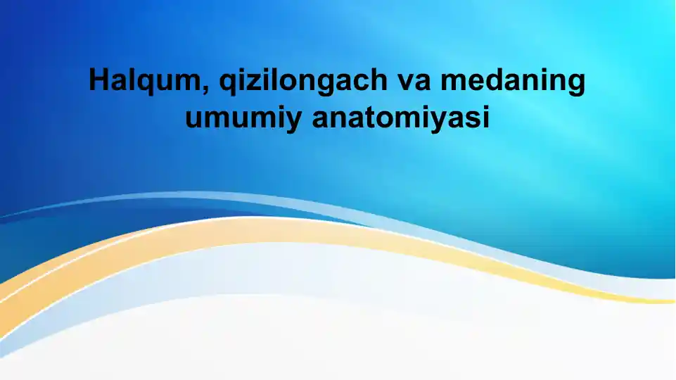 Halqum, qizilonchak va medaning umumiy anatomiyasi