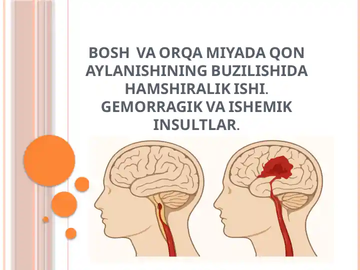 Bosh va Orqa Miyaning Qon Aylanishining Buzilishi