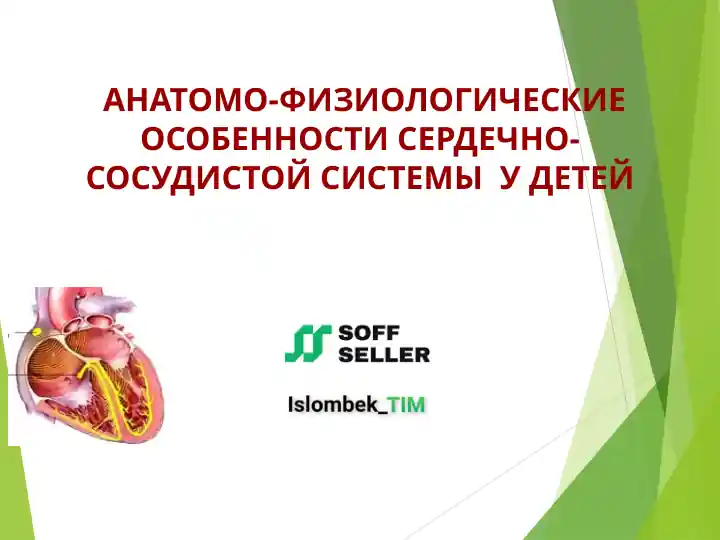 АНАТОМО-ФИЗИОЛОГИЧЕСКИЕ ОСОБЕННОСТИ СЕРДЕЧНО-СОСУДИСТОЙ СИСТЕМЫ У ДЕТЕЙ