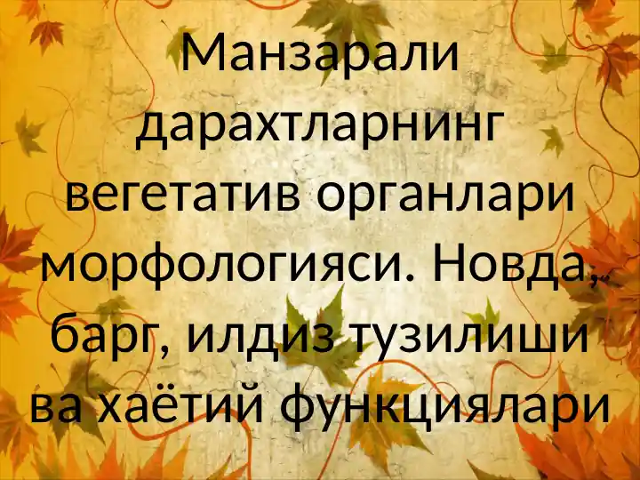 Daraxtlarning vegetativ organlari morfologiyasi