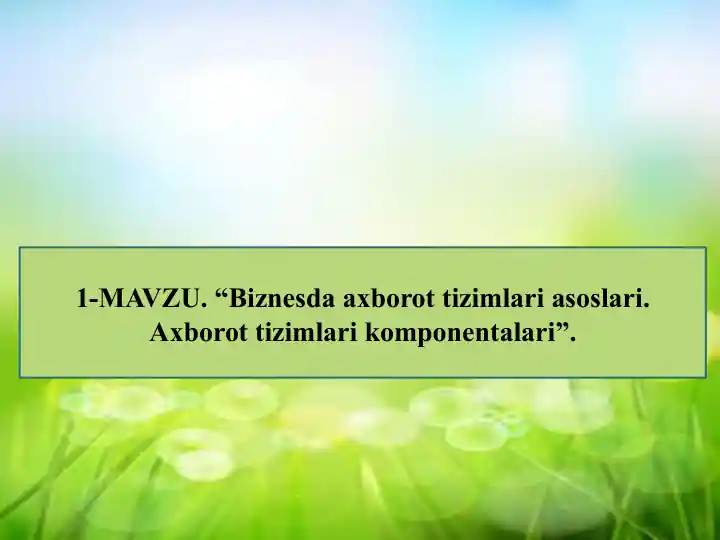 Biznesda axborot tizimlari asoslari