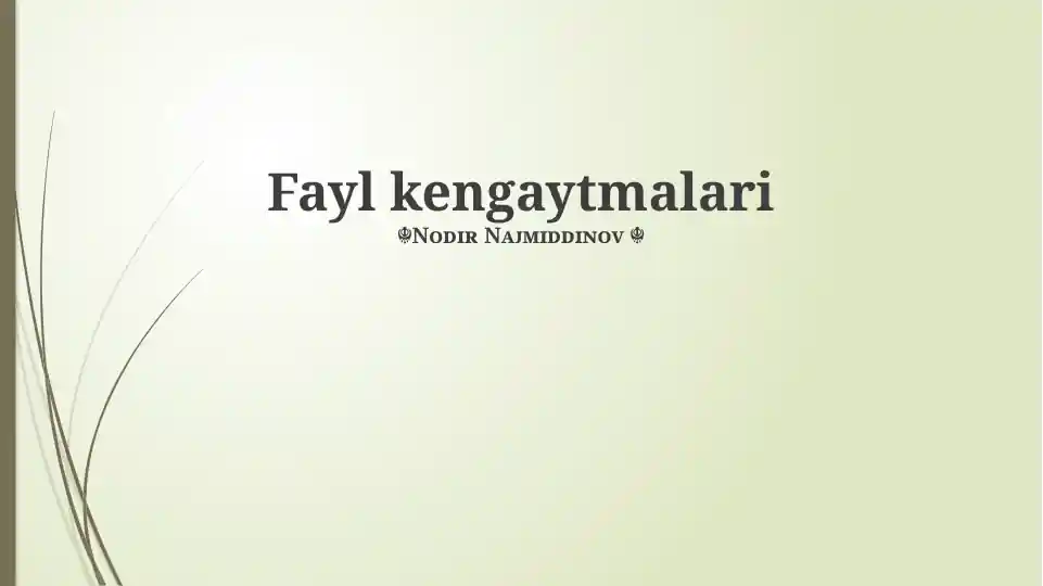 Fayl kengaytmalari