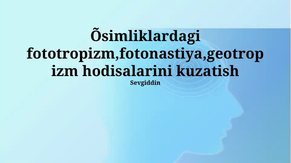 O'simliklardagi fototropizm, fotonastiya, geotropizm hodisalarini kuzatish