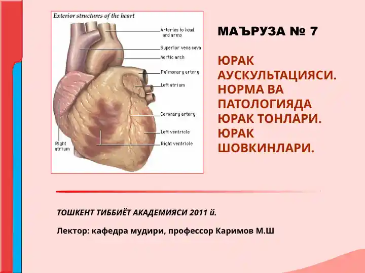 Yurak auskultatsiyasi. Norma va patologiyada yurak tonlari. Yurak shovkinlari.