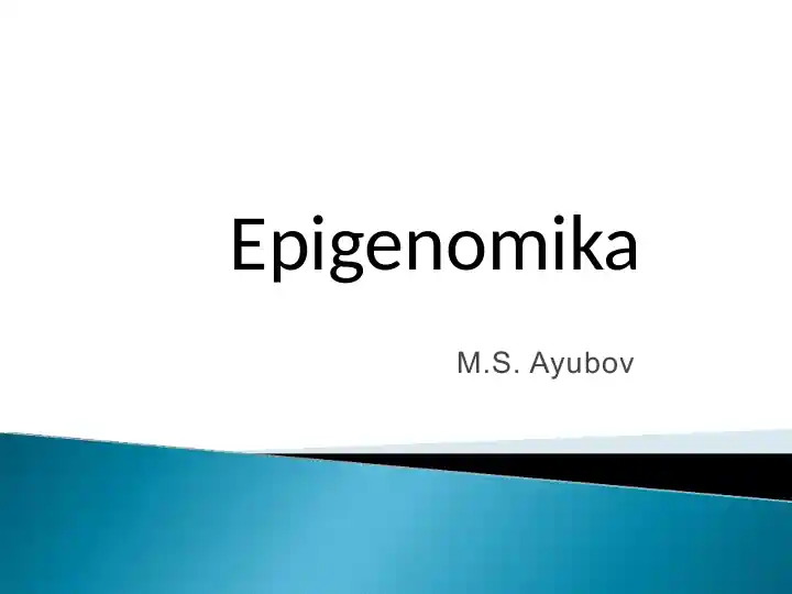 Epigenomika