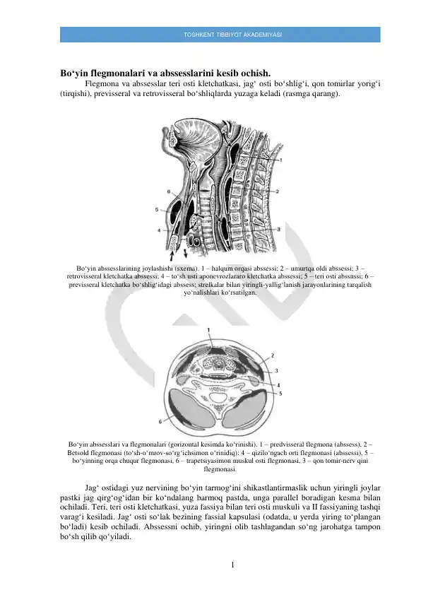 Bo‘yin flegmonalari va abssesslarini kesib ochish