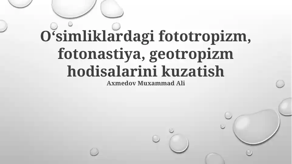 Geotropizm, Fototropizm, Fotonastiya hodisalari