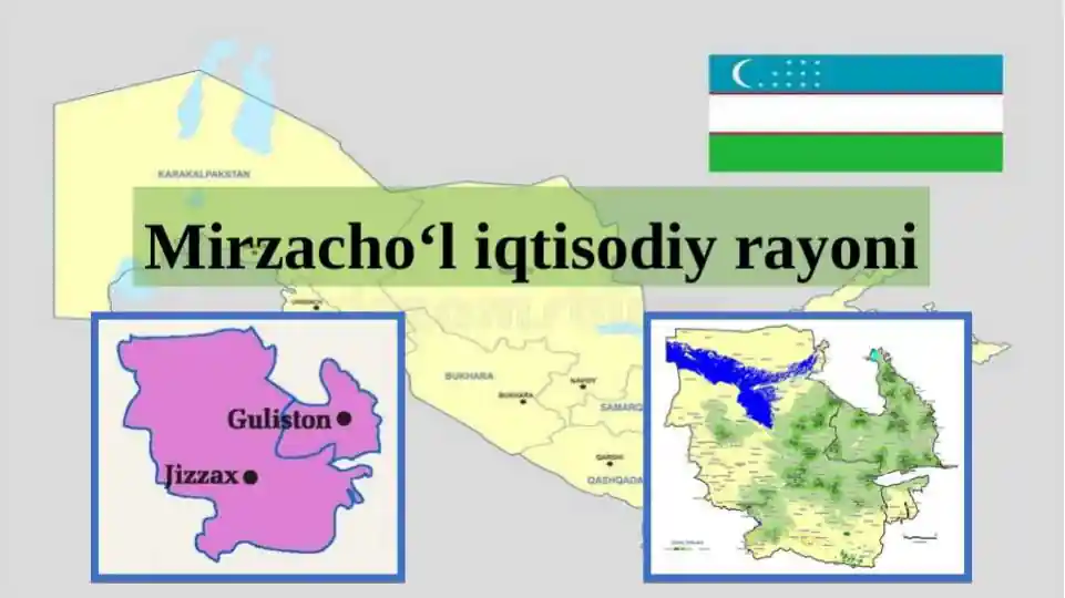 Mirzacho’l iqtisodiy rayoni