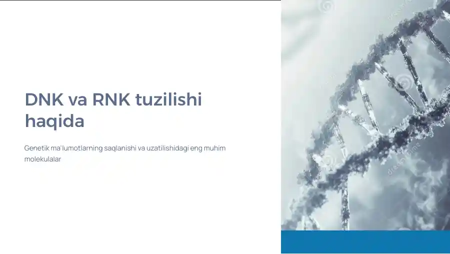 DNK va RNK tuzilishi haqida