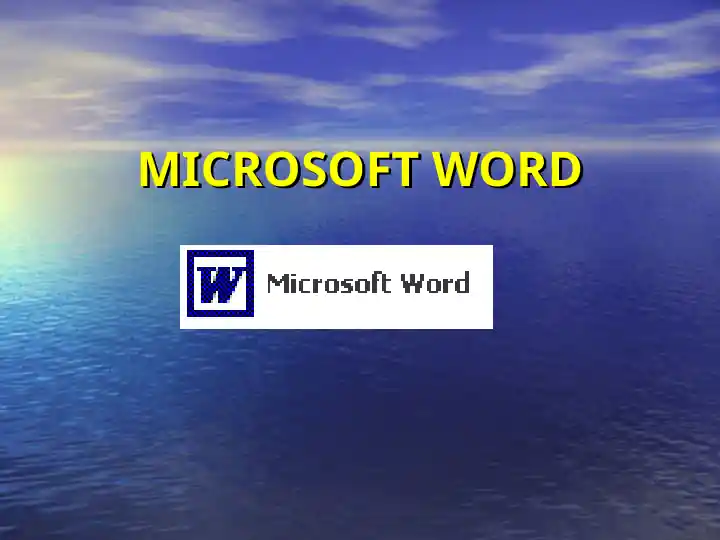 Microsoft Word