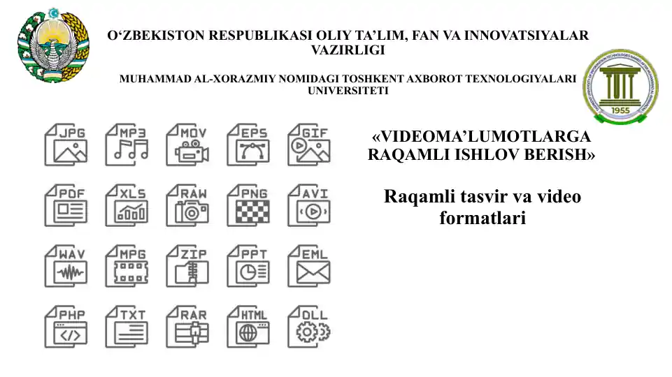 Raqamli tasvir va video formatlariRaqamli tasvir va video formatlari