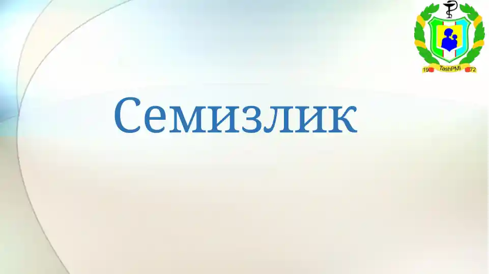 Seminar: Semizlik