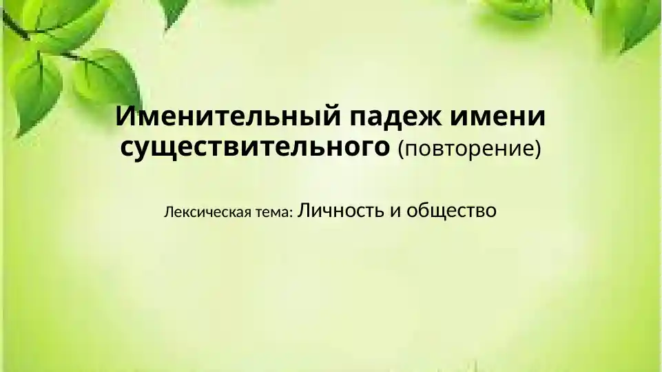 Именительный падеж имени существительного (повторение)