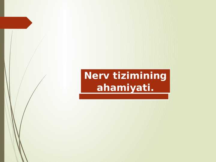 Nerv tizimining ahamiyati.