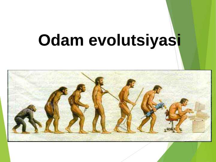 Odam evolutsiyasi 24