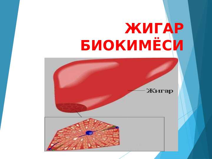 ЖИГАР БИОКИМЁСИ