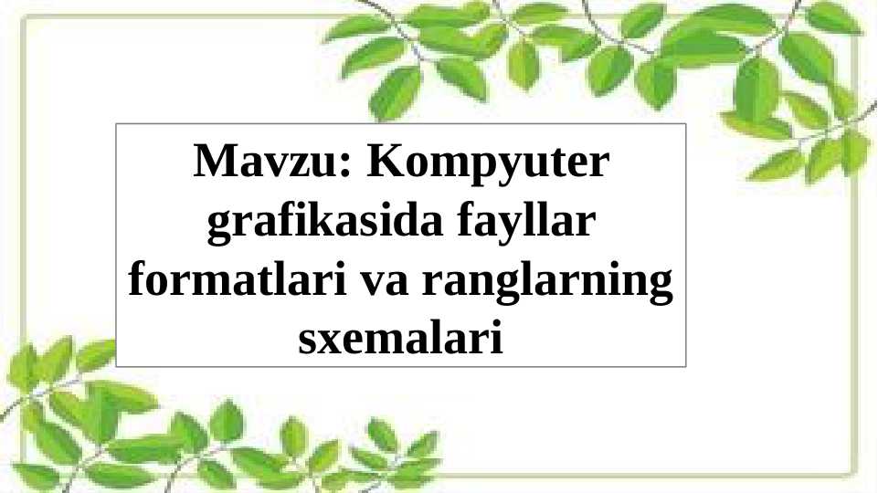 Kompyuter grafikasida fayllar formatlari va ranglarning sxemalari