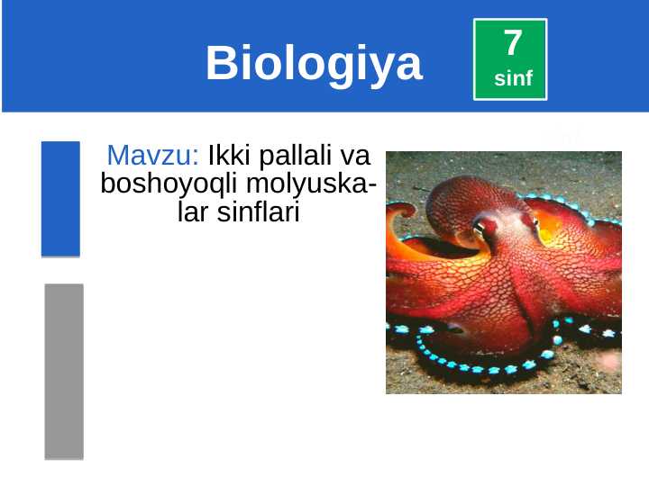 Ikki pallali va boshoyoqli molyuska-lar sinflari