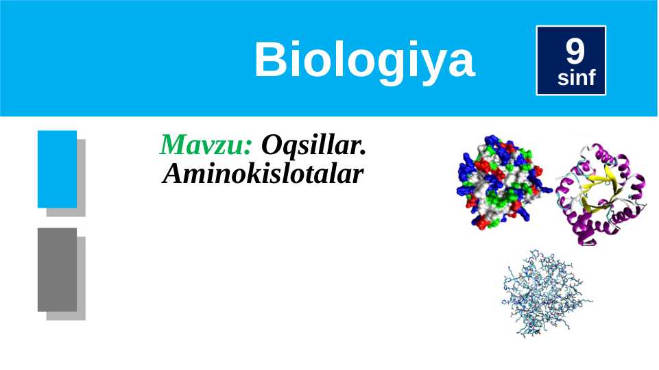 Oqsillar. Aminokislotalar