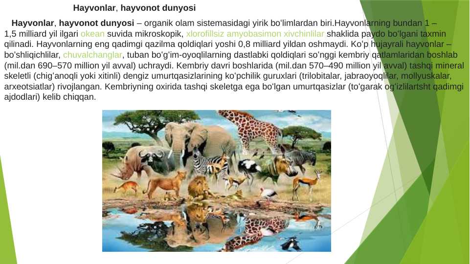 Yirtqich hayvonlar pdf