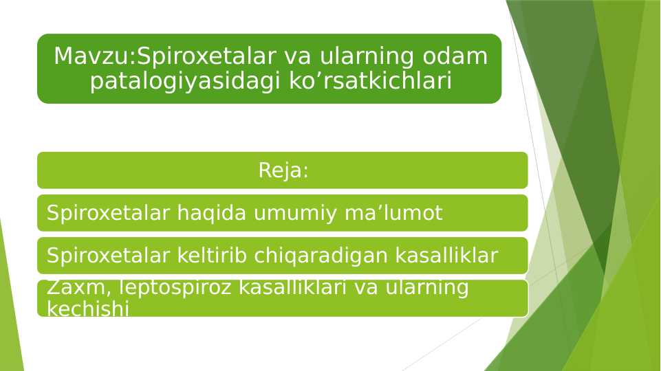 Spiroxetalar va ularning odam patalogiyasidagi ko’rsatkichlari