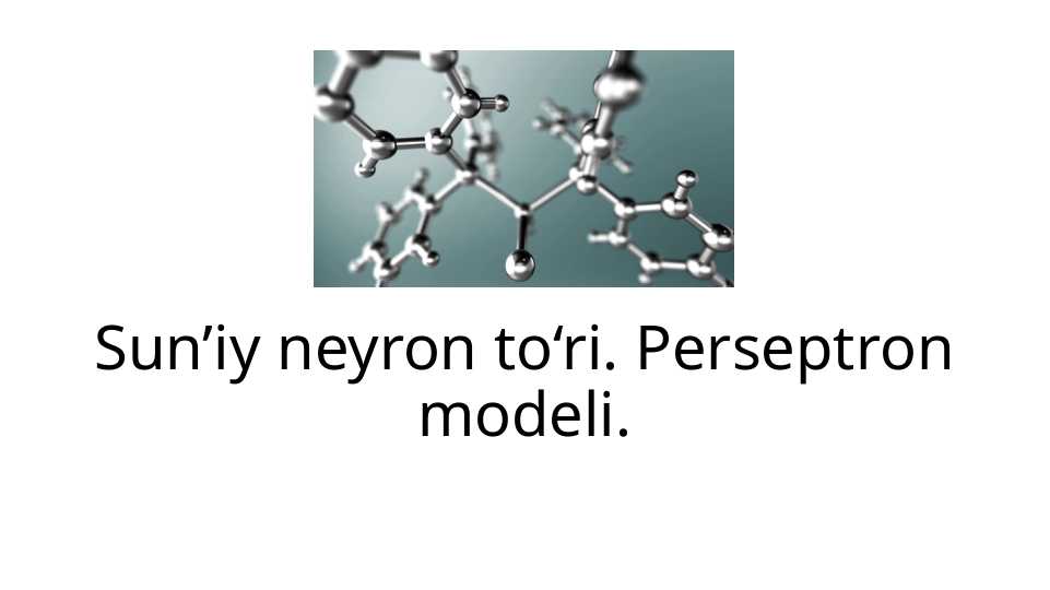 Sun’iy neyron to‘ri. Perseptron modeli.