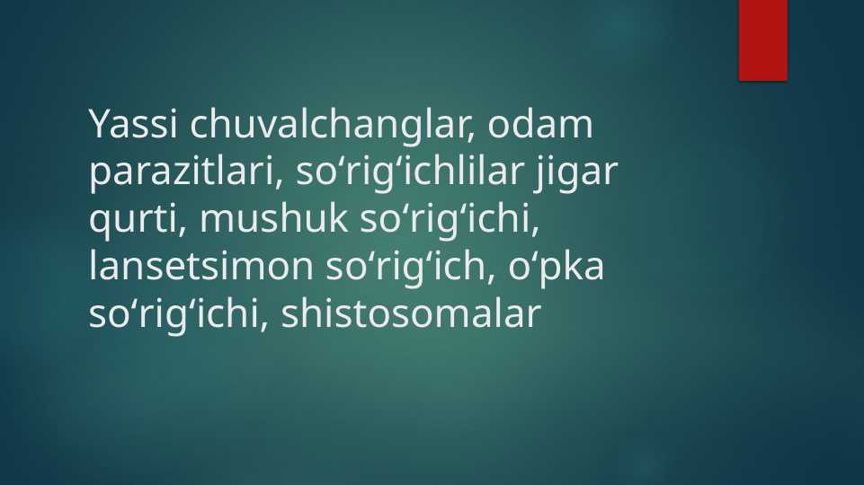 YASSI CHUVALCHANGLAR ODAM PARAZITLARI SO'RIG'ICHLILAR JIGAR QURTI MUSHUK SO'RIG'ICHI LANSETSIMON SO'RIG'ICH
