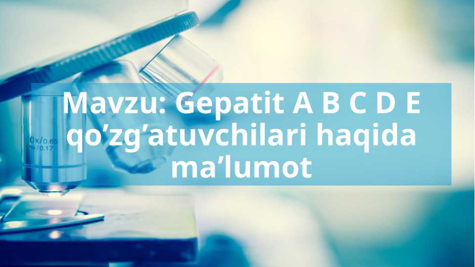 Gepatit A B C D E qo’zg’atuvchilari haqida maʼlumot