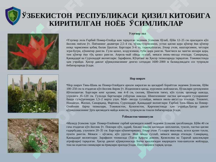 HISOR DAVLAT QO‘RIQXONASI (hozirgi kun va istiqbolda)