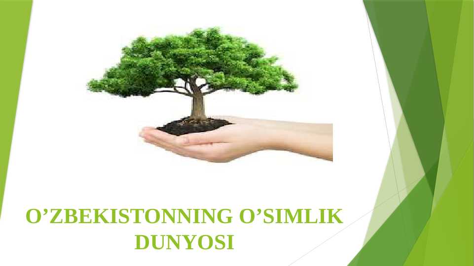 O‘zbekistonning o‘simlik dunyosi