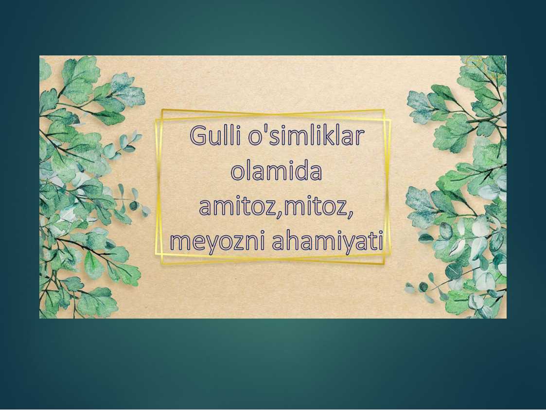 Gulli o'simliklar olamida amitoz,mitoz