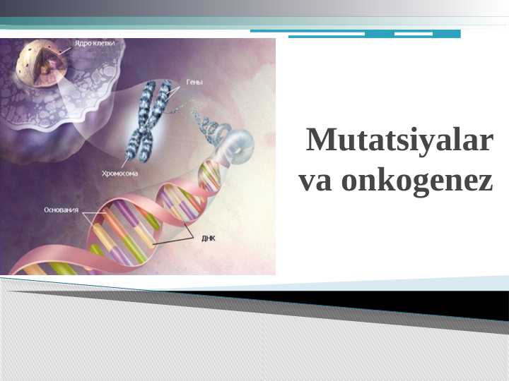 Mutatsiyalar va onkogenez