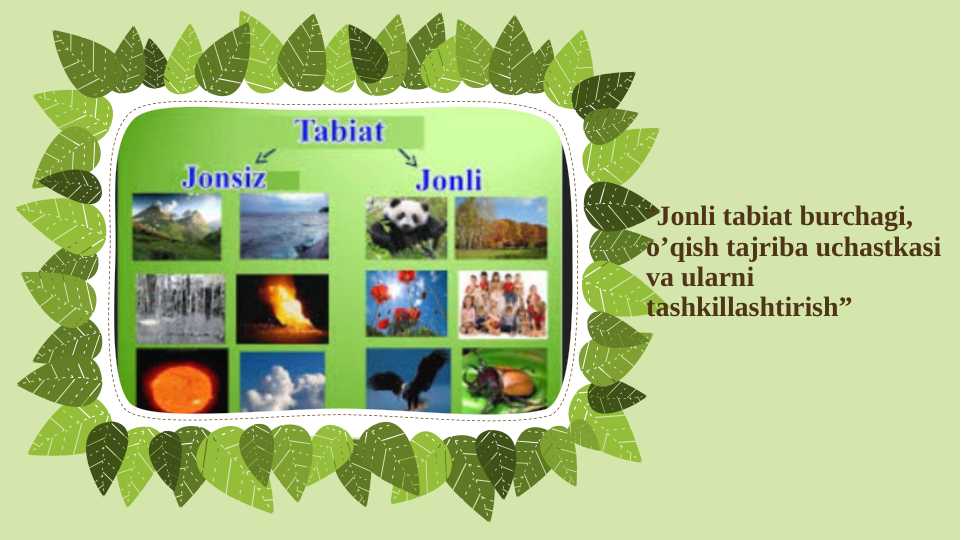 Jonli tabiat burvhagi, o'qish tarjiba uchastkasi va ularni tashkillashtirish.Jonli tabiat burchagini tashkil etishning afzalliklari va amaliy tavsiyalar.Testlari bilan