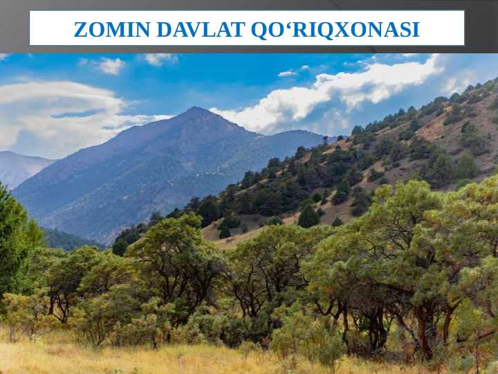 Zomin davlat qo‘riqxonasi