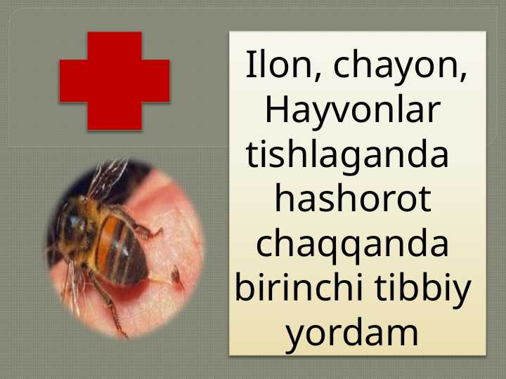 Ilon, chayon, Hayvonlar tishlaganda hashorot chaqqanda birinchi tibbiy yordam
