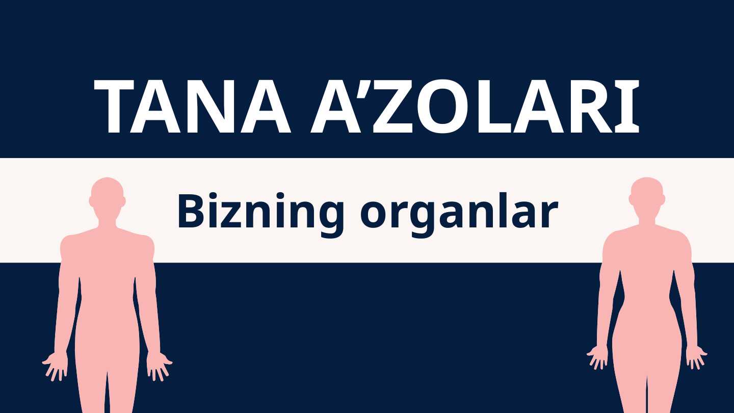Insonning muhim tana a'zolari