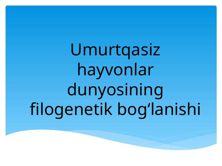 Umurtqasiz hayvonlar dunyosining filogenetik bogʻlanishi