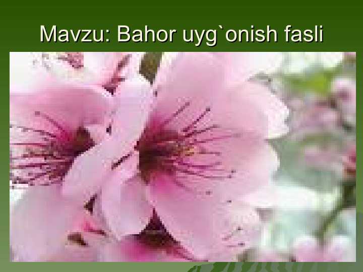 Bahor uyg`onish fasli